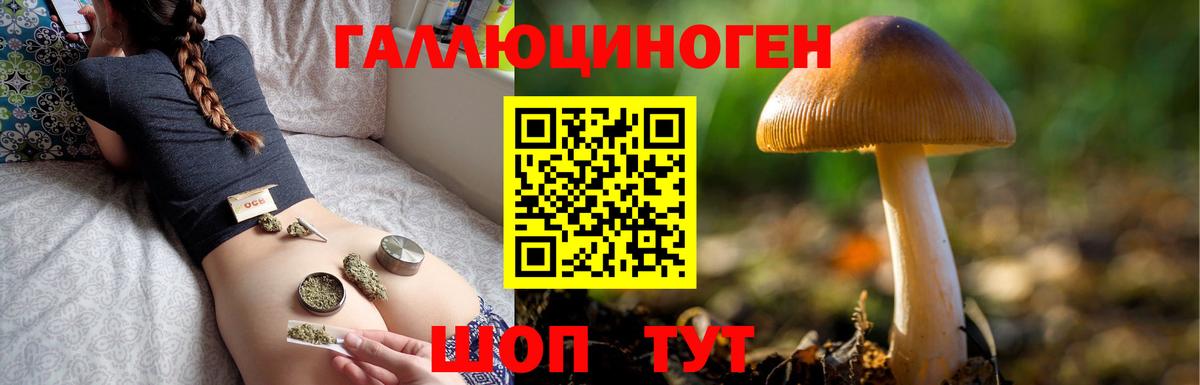 Псилоцибиновые грибы Cubensis  Псилоцибиновые грибы прущие грибы  Вход с VPN  Курчатов 